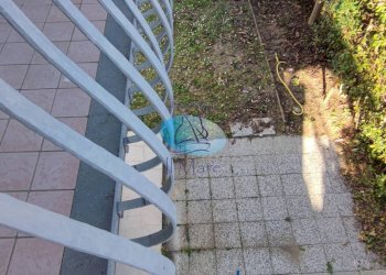 Foto 48 - Independent house VIA DE GASPERI, Camaiore - photo 48