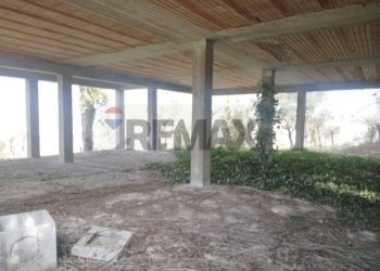 Parcheggio - Rustico Pontecorvo - foto 6