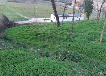 Giardino - Rustico Pontecorvo - foto 8