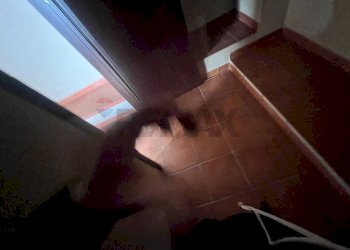 Dettagli - Casa indipendente via San Michele
 
18, Altavilla Milicia - foto 31