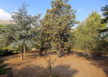 Giardino - Villa Contrada Sperone
 
snc, Altavilla Milicia - photo 12