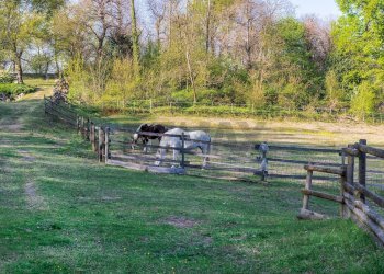 Giardino - Villa Via Roncaccio
 
4, Laveno-Mombello - foto 27