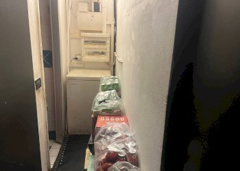 Foto 4 - Commercial Activity piazza garibaldi
2, Pisa - photo 4