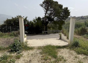 Giardino - Terreno agricolo Contrada Luziano, Buseto Palizzolo - foto 3