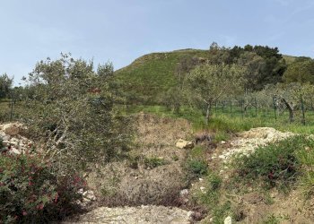 Vista delle montagne - Terreno agricolo Contrada Luziano, Buseto Palizzolo - foto 7