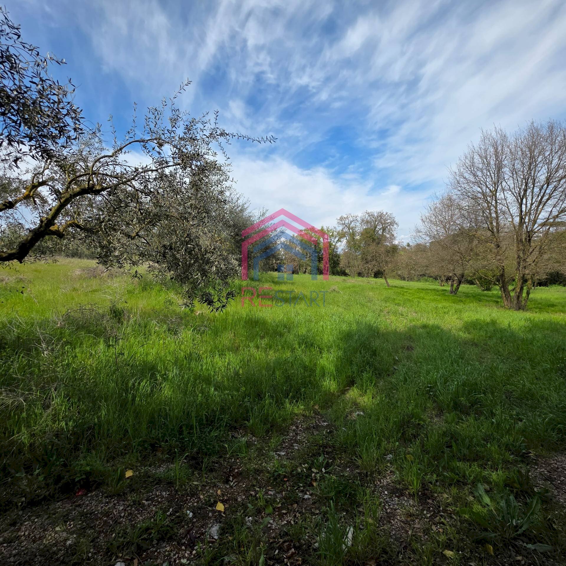 Foto 2 - Agricultural land Via delle arance
 
snc, Pomezia - photo 2