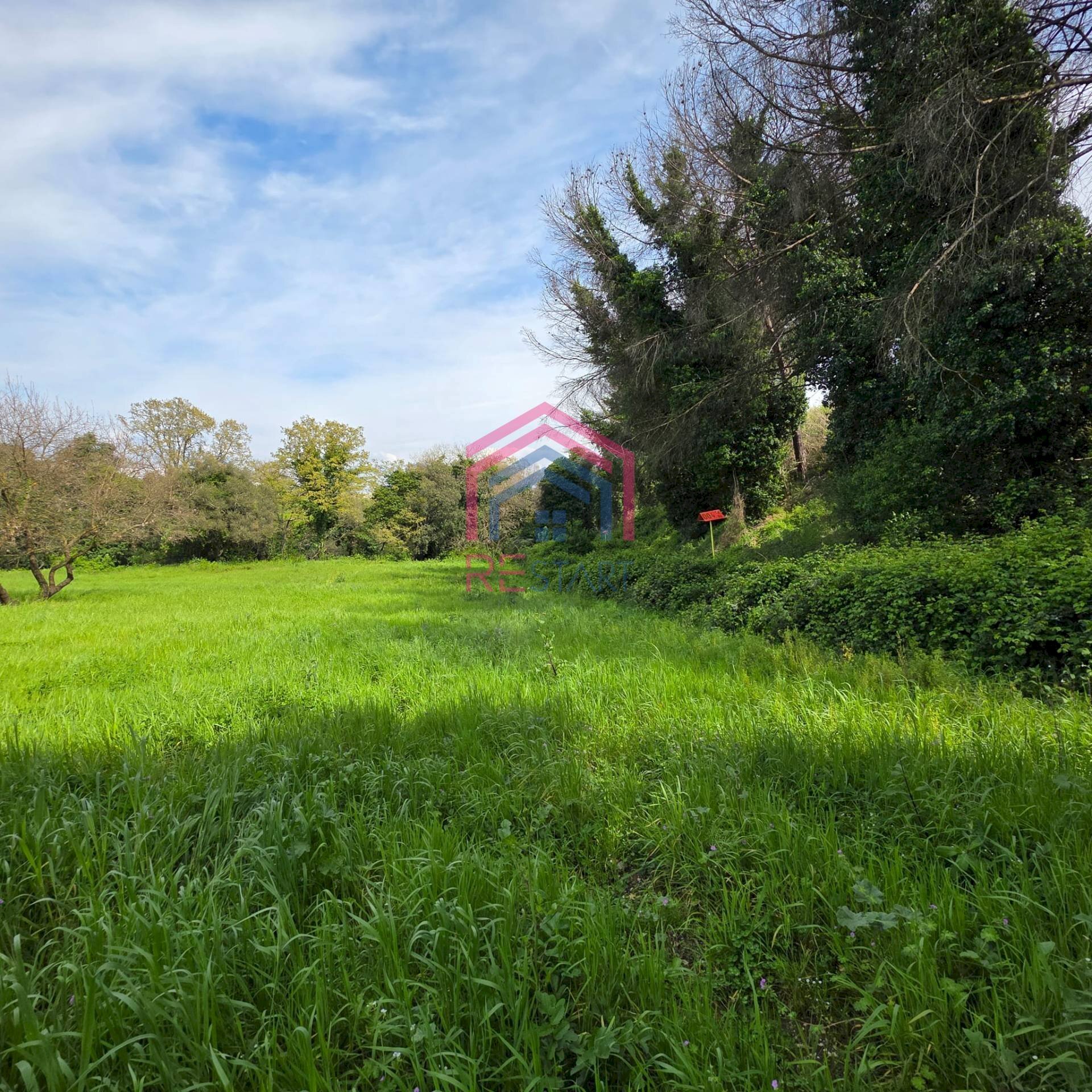 Foto 3 - Agricultural land Via delle arance
 
snc, Pomezia - photo 3