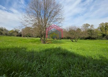 Foto 1 - Agricultural land Via delle arance
 
snc, Pomezia - photo 1
