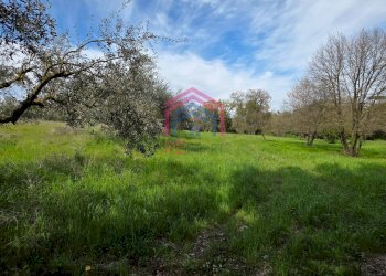 Foto 2 - Agricultural land Via delle arance
 
snc, Pomezia - photo 2