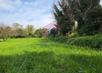 Foto 3 - Agricultural land Via delle arance
 
snc, Pomezia - photo 3