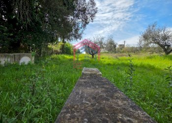 Foto 4 - Agricultural land Via delle arance
 
snc, Pomezia - photo 4