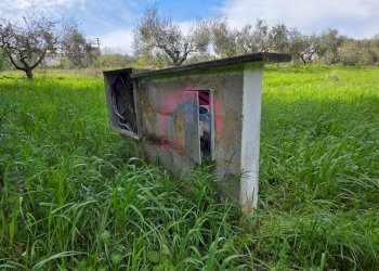 Foto 6 - Agricultural land Via delle arance
 
snc, Pomezia - photo 6