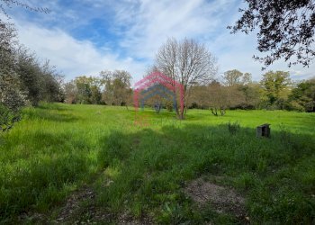 Foto 7 - Agricultural land Via delle arance
 
snc, Pomezia - photo 7