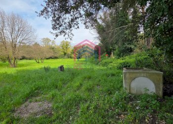 Foto 8 - Agricultural land Via delle arance
 
snc, Pomezia - photo 8