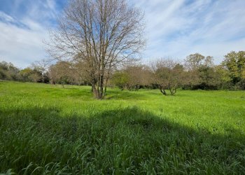 Foto 1 - Terreno agricolo Via delle arance
snc, Pomezia - foto 1