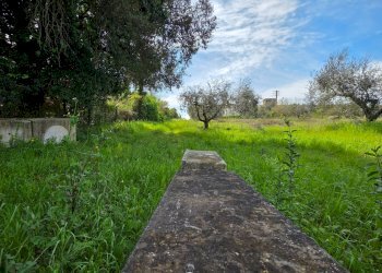 Foto 4 - Terreno agricolo Via delle arance
snc, Pomezia - foto 4