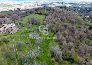 Foto 8 - Terreno agricolo Via delle Querce, Giarre - foto 8