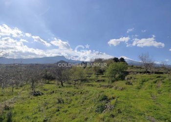 Foto 12 - Agricultural land Via delle Querce, Giarre - photo 12