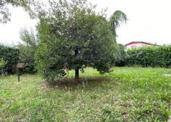 Giardino - Villa via Gabriele D'Annunzio, Arsago Seprio - foto 19