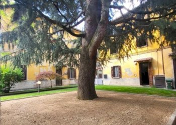 Giardino - Appartamento Trezzo sull'Adda - foto 7