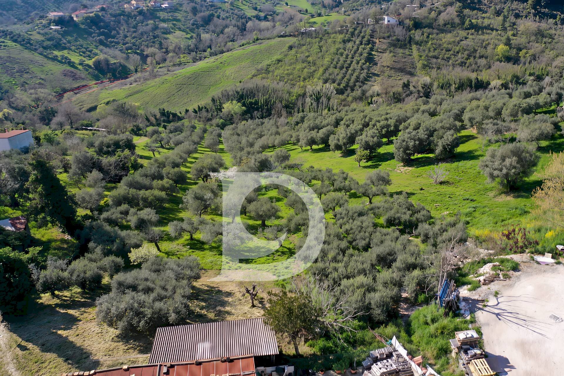 Foto 2 - Terreno edificabile Via Valle Ferzetti, Pescara - foto 2