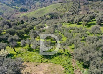 Foto 4 - Terreno edificabile Via Valle Ferzetti, Pescara - foto 4