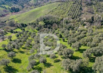 Foto 5 - Terreno edificabile Via Valle Ferzetti, Pescara - foto 5