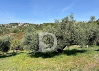 Foto 11 - Terreno edificabile Via Valle Ferzetti, Pescara - foto 11