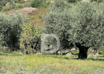 Foto 15 - Terreno edificabile Via Valle Ferzetti, Pescara - foto 15