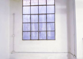 Magazzino - Negozio piazza Manfredi Azzarita, Bologna (zona Centro Storico) - foto 38