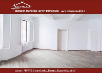 Cucina - Attico strada Maggiore, Bologna (zona San Vitale) - foto 1