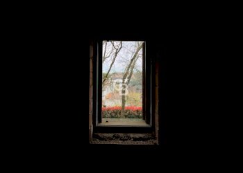 Foto 28 - Quadrilocale Via Alcide De Gasperi
 
28, Viterbo - foto 28