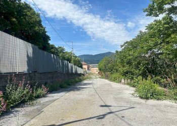 Foto 11 - Capannone Via Sardorella
 
16, Genova - foto 11