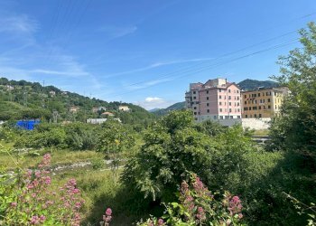 Foto 12 - Capannone Via Sardorella
 
16, Genova - foto 12