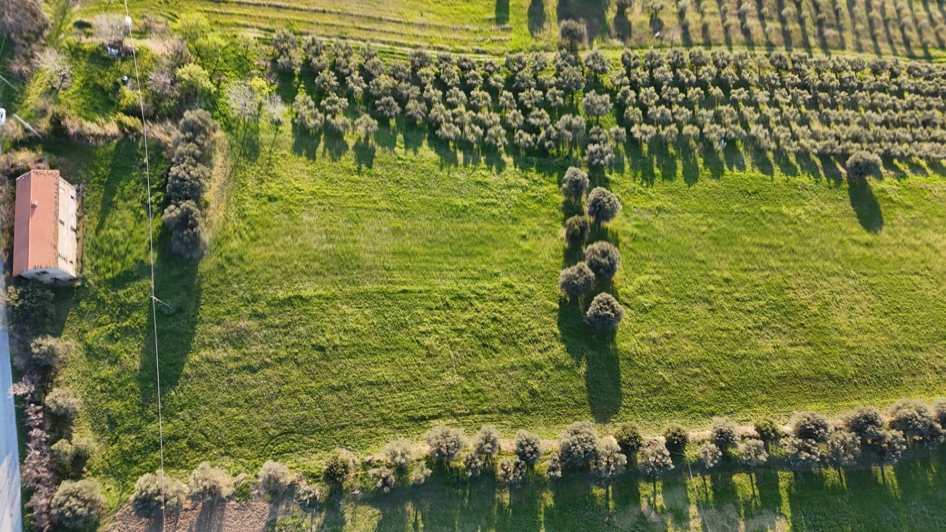 Foto 3 - Independent house contrada capo le coste, Morro d'Oro - photo 3