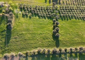 Foto 3 - Casa indipendente contrada capo le coste, Morro d'Oro - foto 3