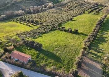Foto 5 - Casa indipendente contrada capo le coste, Morro d'Oro - foto 5
