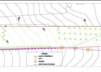 Foto 18 - Casa indipendente contrada capo le coste, Morro d'Oro - foto 18