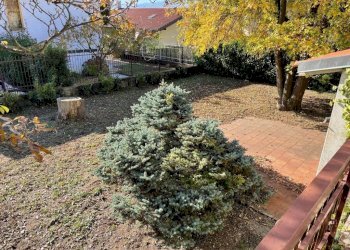 Giardino - Villa via San Vittore, Rivalta di Torino - photo 8