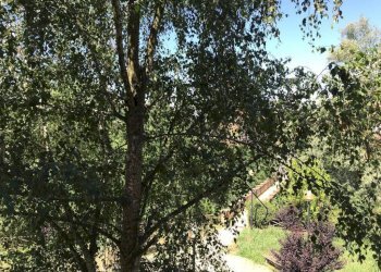 Giardino - Quadrilocale piazza Gianni Rodari, 5, Gassino Torinese - foto 24