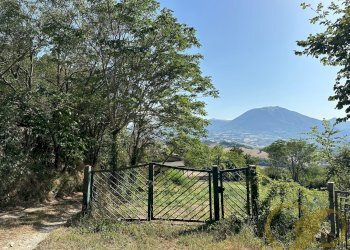 giardino - Independent house COLLINA, Castelraimondo - photo 14