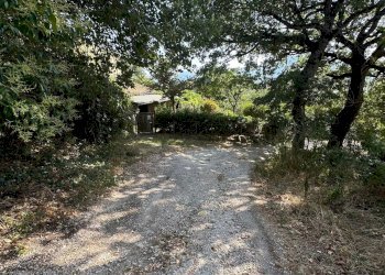 giardino - Independent house COLLINA, Castelraimondo - photo 17