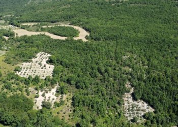 giardino - Casa indipendente Sasso marozzo, Serrapetrona - foto 18