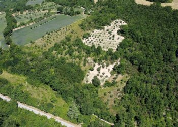 giardino - Casa indipendente Sasso marozzo, Serrapetrona - foto 19