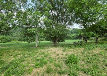 giardino - Casa indipendente Colli
 
118, Serrapetrona - foto 8