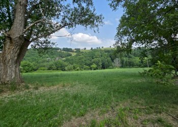 giardino - Casa indipendente Colli
 
118, Serrapetrona - foto 10