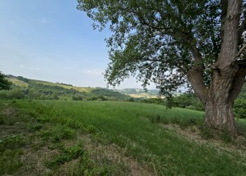 giardino - Casa indipendente Colli
 
118, Serrapetrona - foto 11