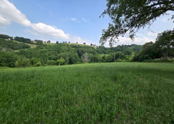 giardino - Casa indipendente Colli
 
118, Serrapetrona - foto 13