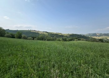 vista - Casa indipendente Colli
 
118, Serrapetrona - foto 15