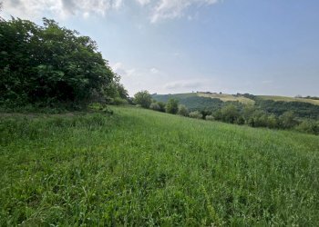 giardino - Casa indipendente Colli
 
118, Serrapetrona - foto 16